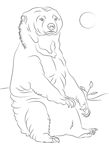 Sitting Sun Bear  Coloring Page